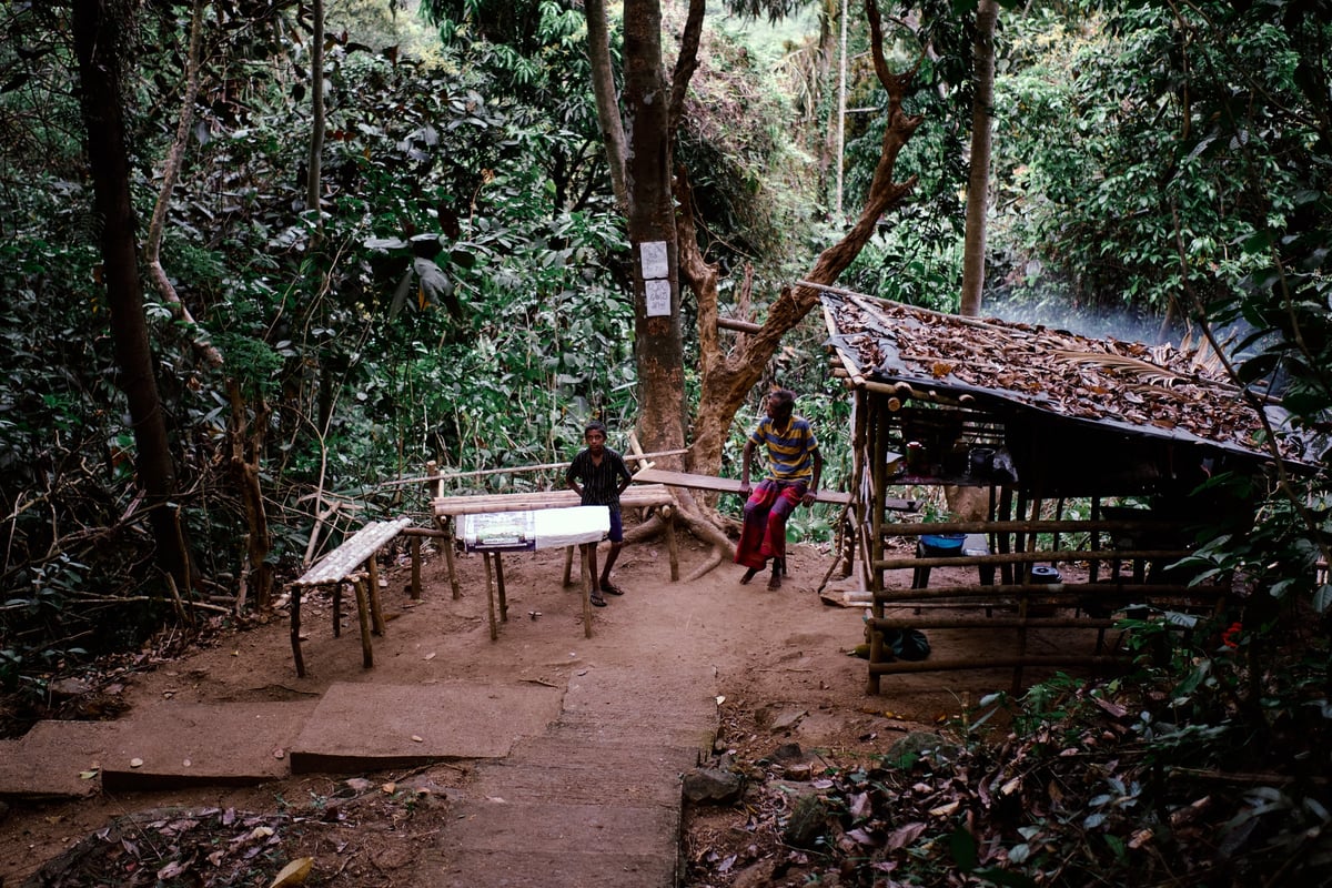 The Cost of Tea — Sri Lanka — frame